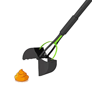 Poop Scooping Services